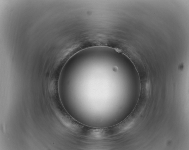 X0000092030088200709131628