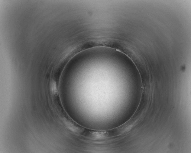 X0000092030089200709131628