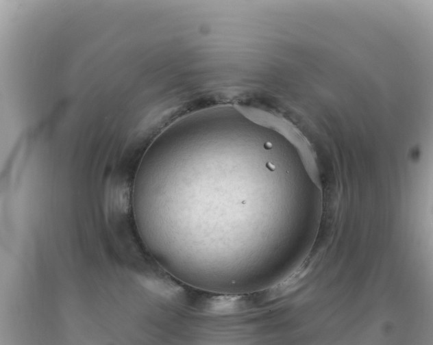 X0000092030090200709131628