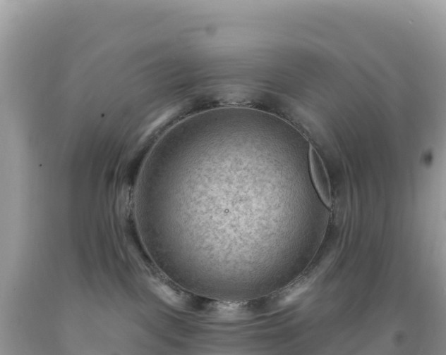 X0000092030093200709131628