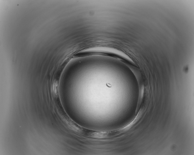 X0000092030094200709131628