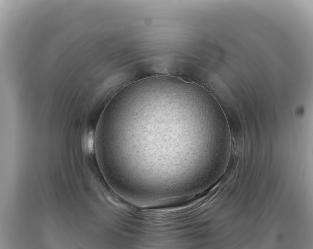 X0000092030095200709131628