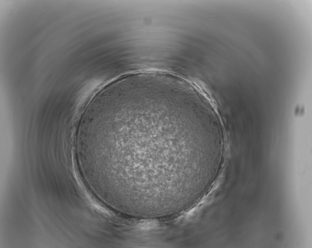 X0000092030097200709131628