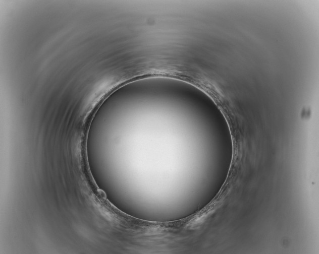 X0000092030098200709131628