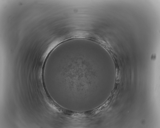 X0000092030099200709131628