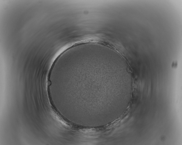 X0000092030100200709131628