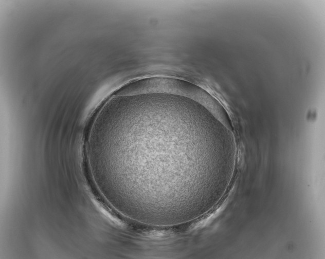 X0000092030101200709131628