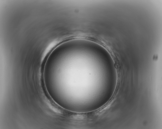 X0000092030102200709131628