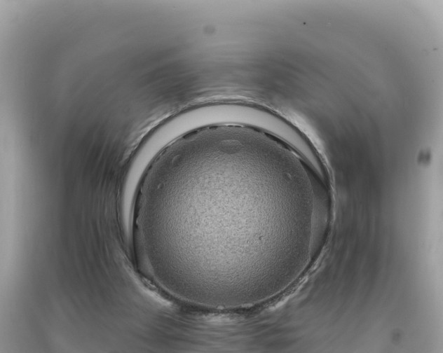 X0000092030105200709131627