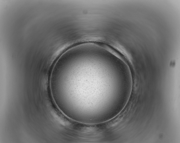 X0000092030107200709131627