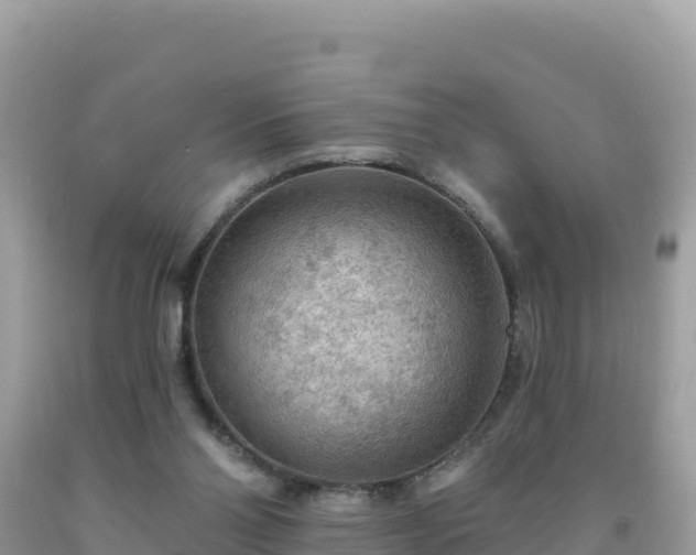 X0000092030110200709131627