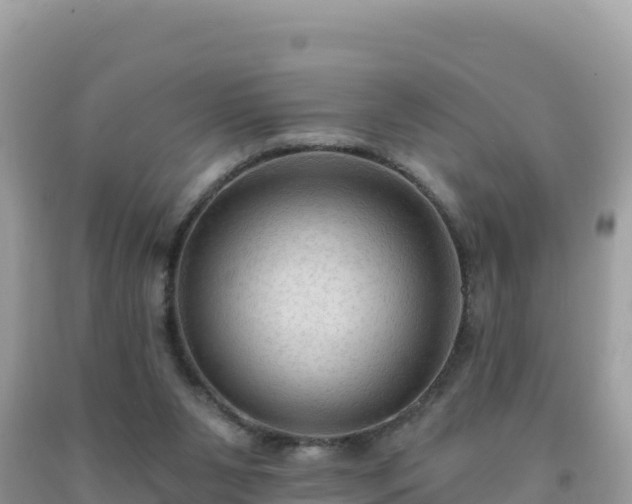 X0000092030111200709131627