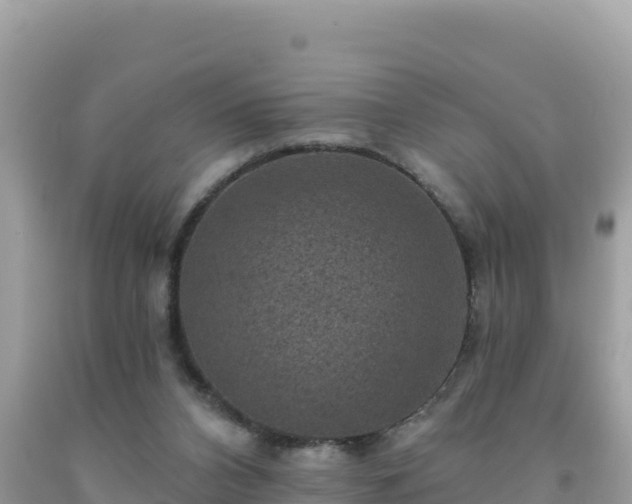 X0000092030112200709131627