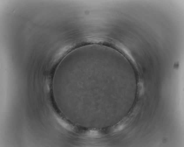 X0000092030114200709131627