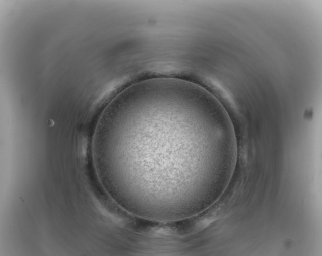 X0000092030115200709131627