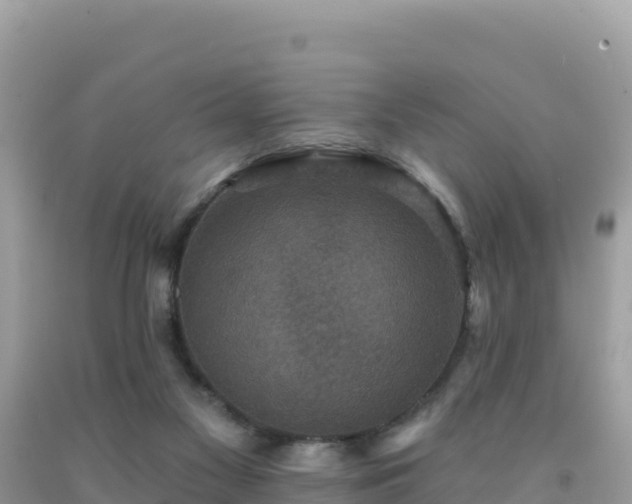 X0000092030117200709131627