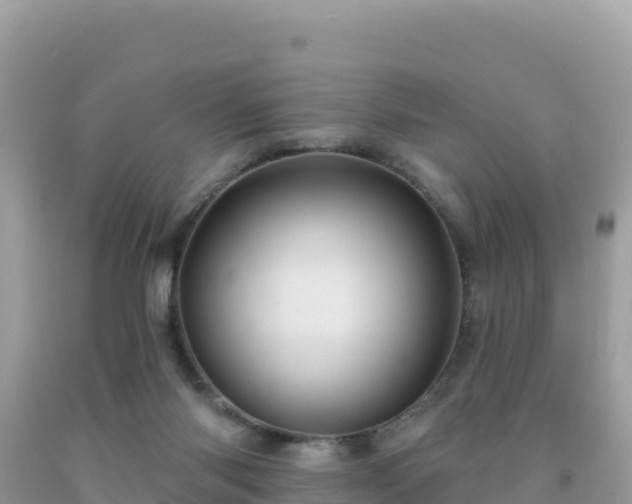 X0000092030118200709131627