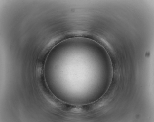 X0000092030119200709131627