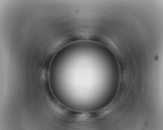 X0000092030122200709131627