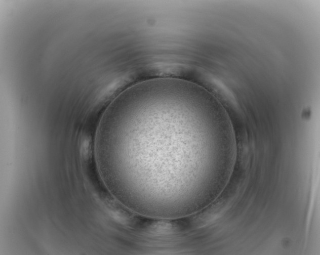 X0000092030123200709131627