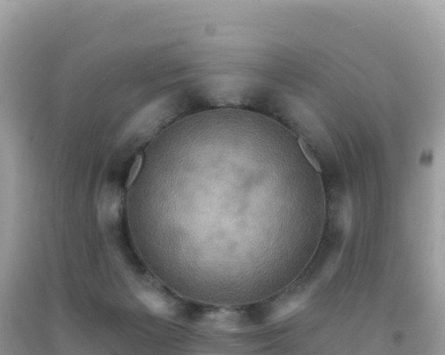 X0000092030125200709131627