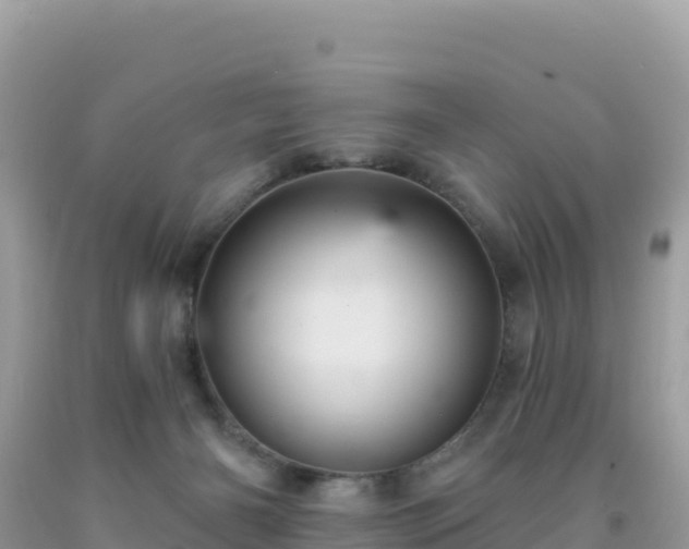 X0000092030126200709131627