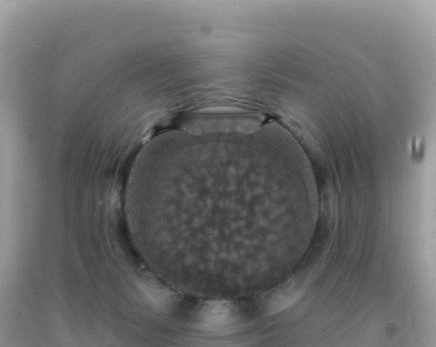 X0000092030127200709131627