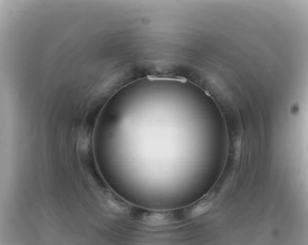 X0000092030129200709131627