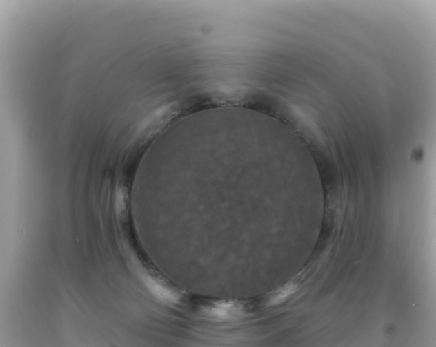 X0000092030130200709131627