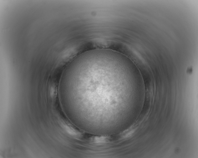 X0000092030134200709131627