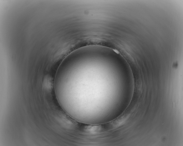 X0000092030135200709131627