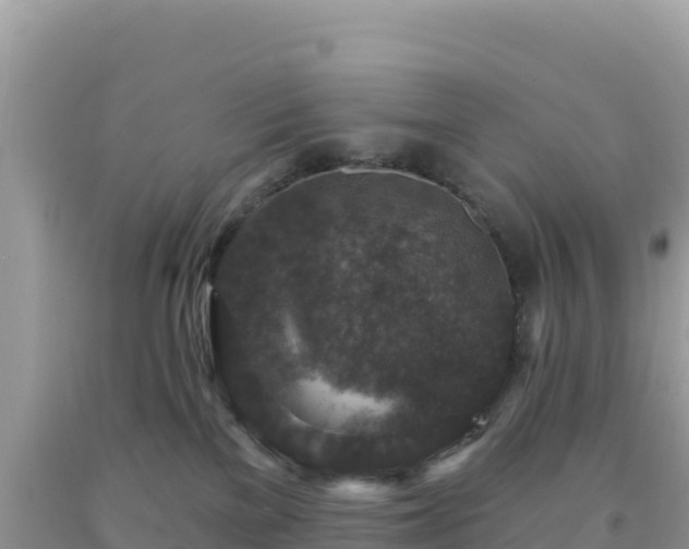 X0000092030137200709131627