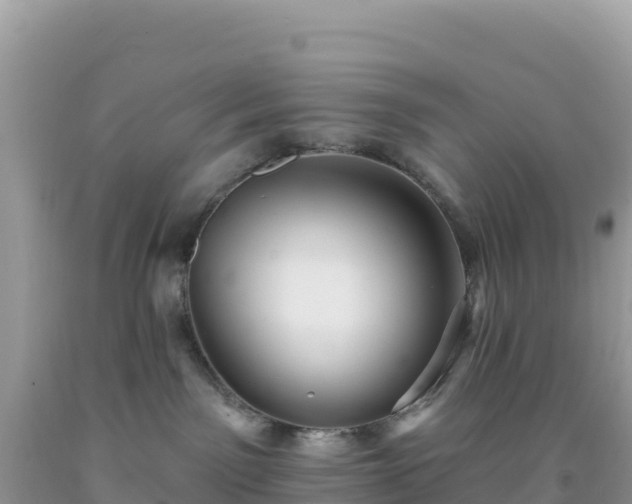 X0000092030141200709131627