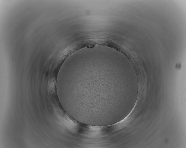 X0000092030144200709131627