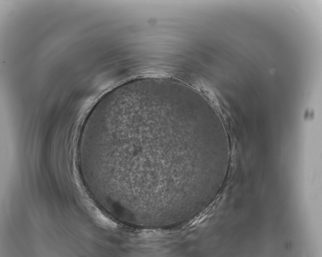 X0000092030145200709131626