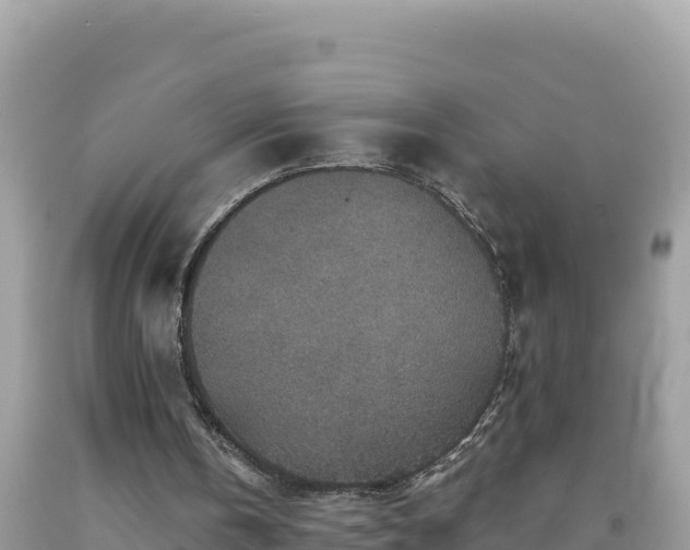 X0000092030146200709131626