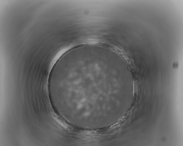 X0000092030147200709131626