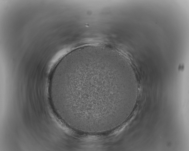 X0000092030149200709131626