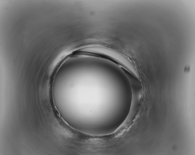 X0000092030150200709131626