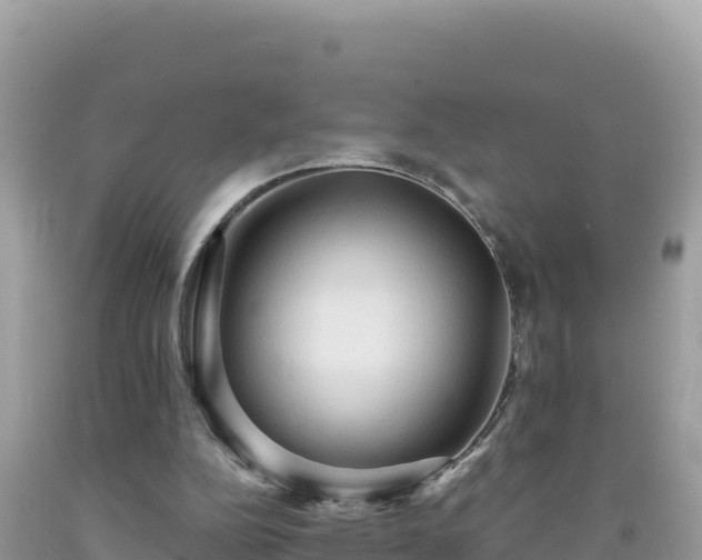 X0000092030152200709131626