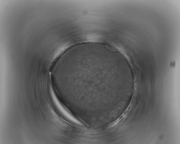 X0000092030154200709131626