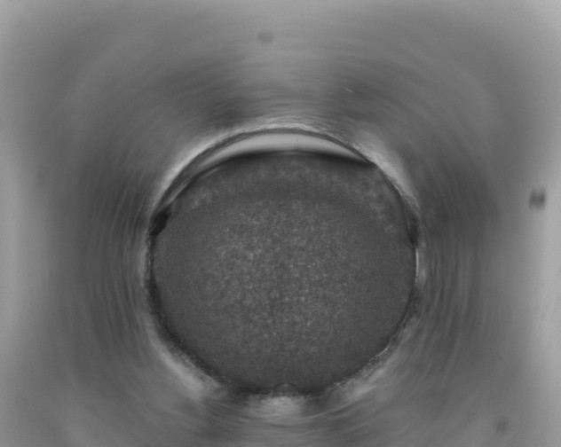 X0000092030156200709131626