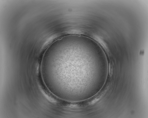 X0000092030157200709131626