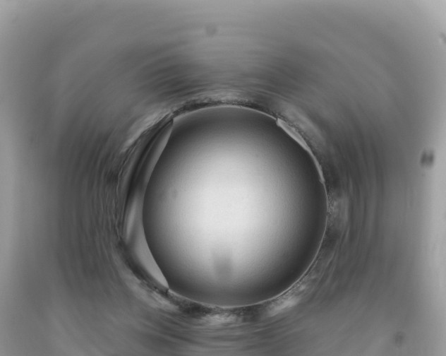 X0000092030158200709131626