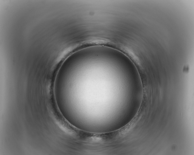 X0000092030159200709131626