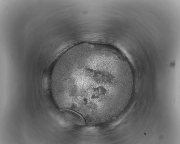 X0000092030161200709131627