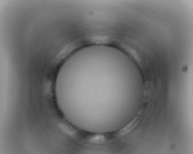 X0000092030162200709131627