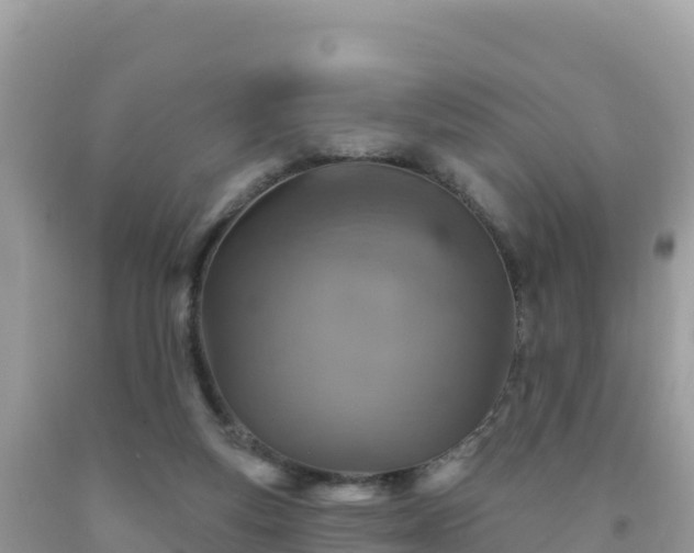 X0000092030163200709131627