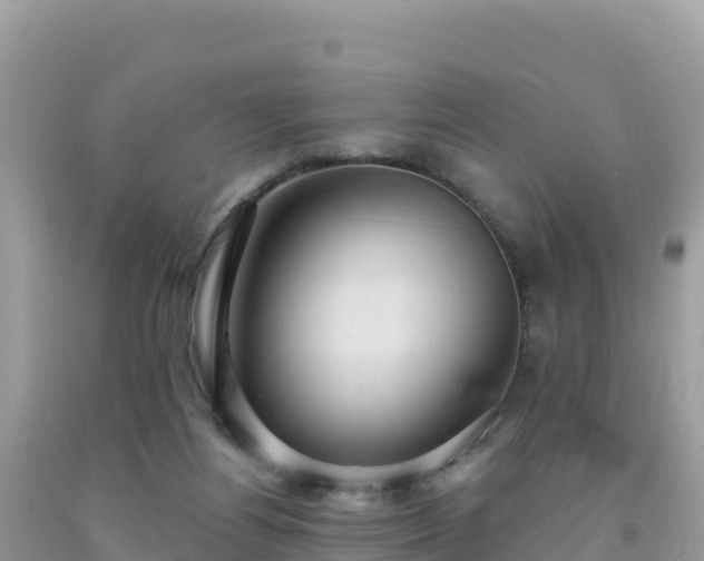 X0000092030164200709131627