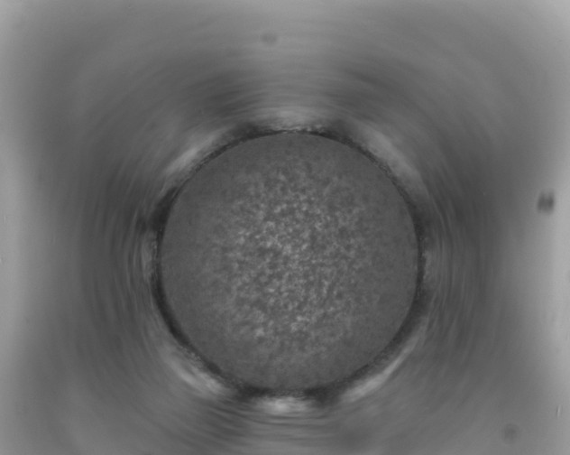 X0000092030165200709131627